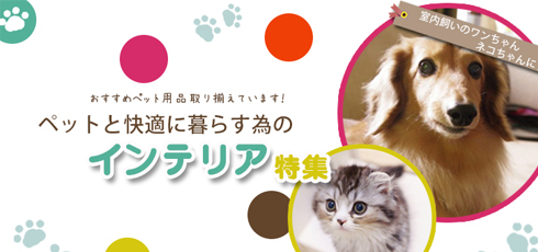 山形 DIY＆リフォームショップREROOM【ペット特集 滑り止め】